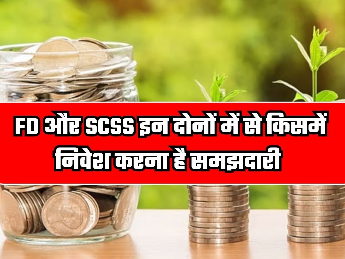 FD vs SCSS: FD और SCSS इन दोनों में से किसमें निवेश करना है समझदारी, जानिए पूरा गणित