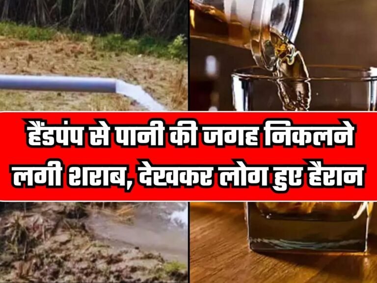 Liquor Hand Pump: हैंडपंप से पानी की जगह निकलने लगी शराब, देखकर लोग हुए हैरान, पुलिस ने किया बड़ा खुलासा