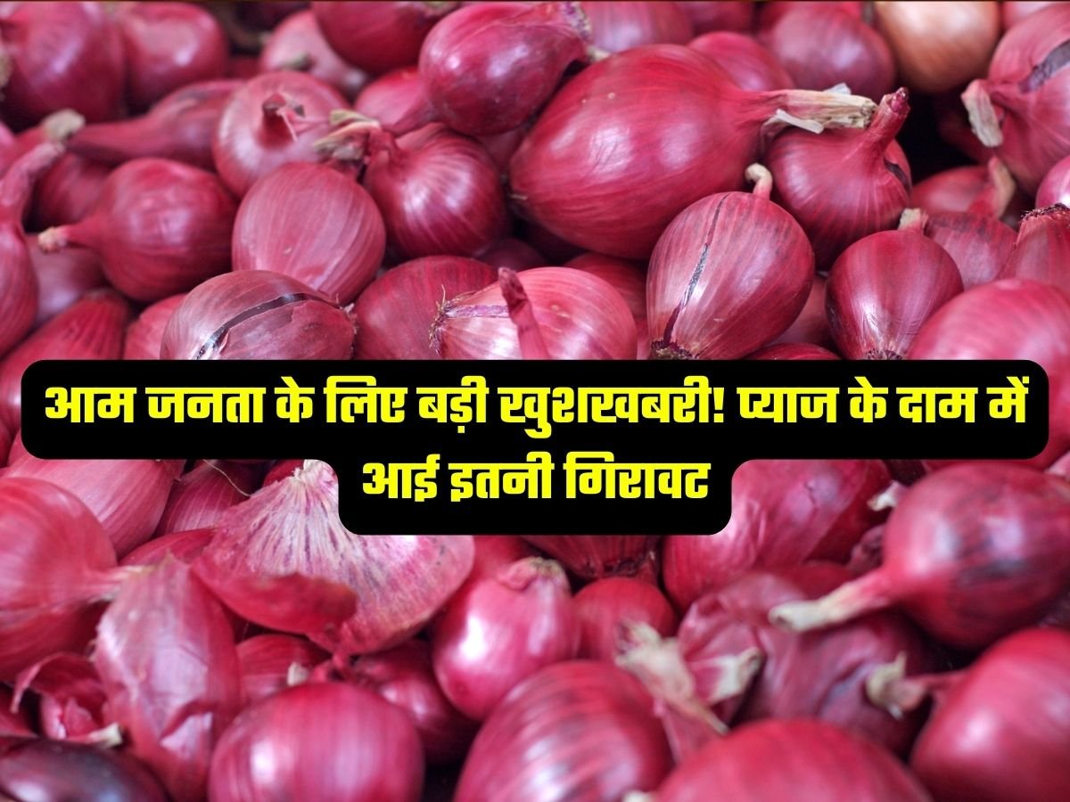 Onion Price